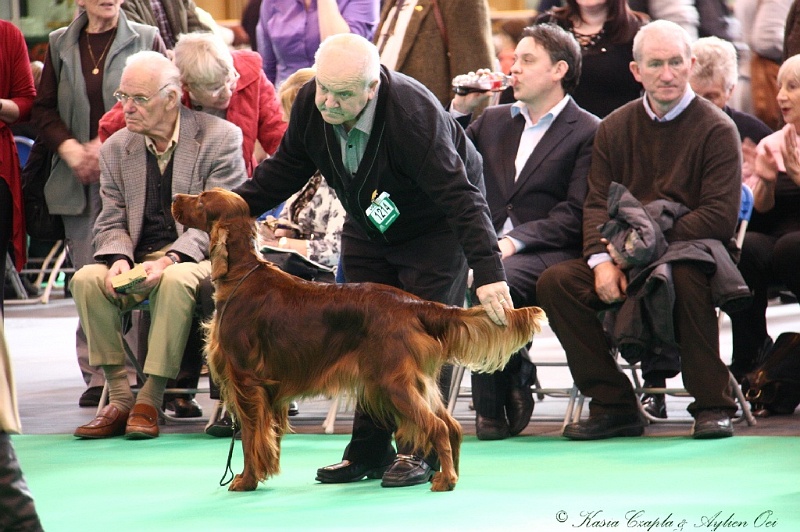 Crufts2011 236.jpg